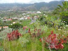 Buenavista De Abajo